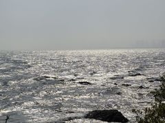 -大锅强·蒸海鲜青岛菜(吾悦广场店)