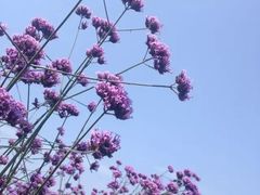 -艾溪湖湿地公园