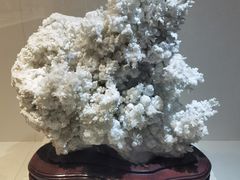 -安徽省地质博物馆