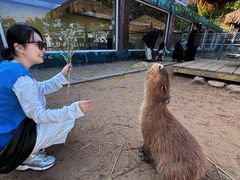-西霞口神雕山野生动物世界