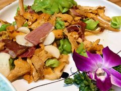 -滇铺子·云南特色菜·第九届野生菌美食节(东风东路c86店)