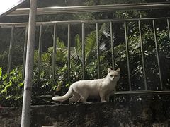 -广东食品药品职业学院(龙洞校区)