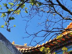 -抚仙湖禄充风景区