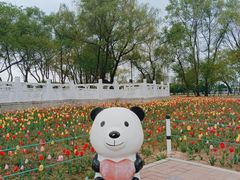 -北陵公园