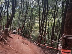 -灵岩山风景区