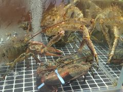 -喜来酌海鲜·饺子(和平一店)