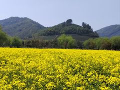 -径山花海