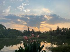 -桤木河湿地公园