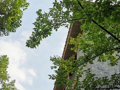 -四川大学(华西校区)