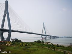 -芒洲湿地公园