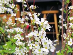 -8PINTS八品脱·日料·烧鸟·精酿小酒馆(莘庄店)