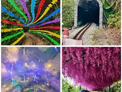 -广东天露山旅游度假区