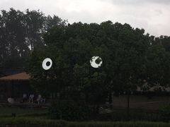 -乌镇东栅景区