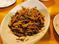 高原三宝虫-民食香·腊排骨野生菌美食(木府店)