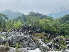 -千岛湖石林
