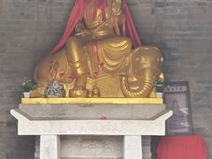 -白水寺森林公园