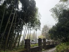 -莫干山风景区