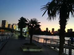 -白塘生态植物园