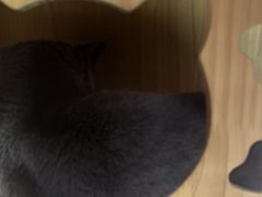-203密室体验馆·逃脱·聚会·亲子(工体店)