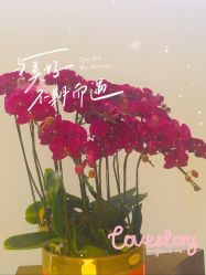 -希尔顿酒店·eforea spa水疗中心