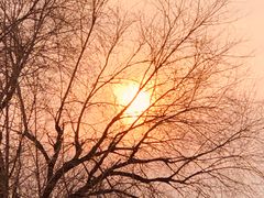 -北京西山国家森林公园