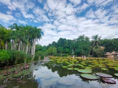 -中国科学院西双版纳热带植物园