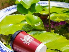 -龙华素斋(龙华路店)