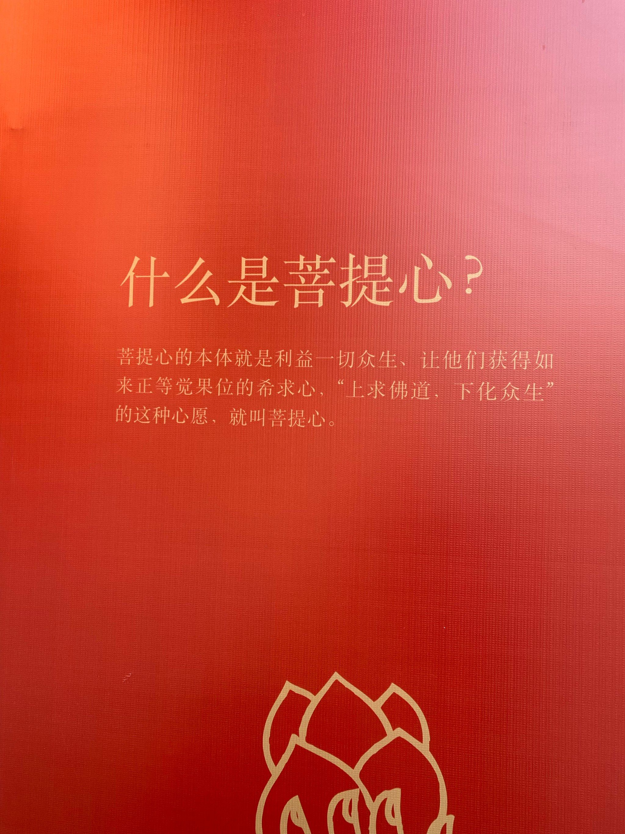 0元玩转这座城佛说,菩提心的本质就是利益一切众生
