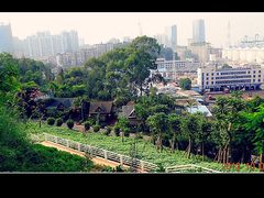 景点-厦门博饼民俗园