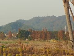 -广州市紫泥堂文化创意园景区