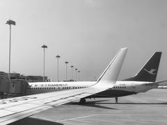 -厦门高崎国际机场-T3航站楼