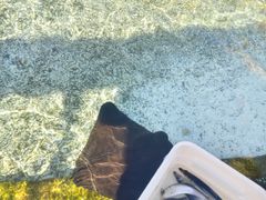 -重庆海昌加勒比海水世界