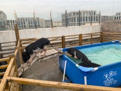 -小蜜蜂农场(凯德七宝购物广场店)