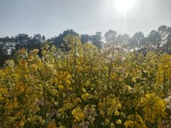 -崔岗艺术村