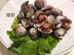 -高佳庄·舟山海鲜(海景旗舰店)