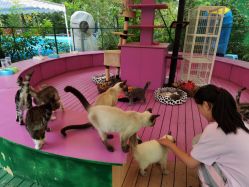 -萌宠亲子动物乐园(槐房万达店)