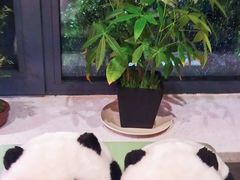 -幸薈飯堂