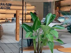 -NaturalFlow自然福乐面包店