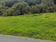 -风云岭森林公园