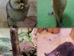 -正佳雨林生态植物园