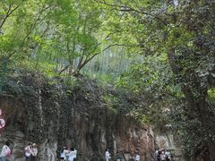 -上海佘山国家森林公园西佘山园