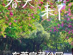 -水濂山森林公园