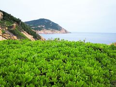 -蒲台岛