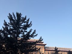 -哈尔滨极乐寺