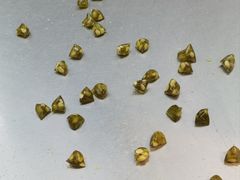 -采芝斋评弹茶馆(观前街店)