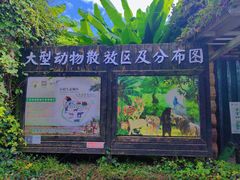-贵州森林野生动物园