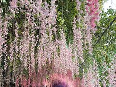 -宝岩生态观光园