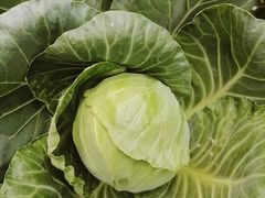 -万源龙顺度假庄园生态观光园