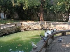 -西园戒幢律寺