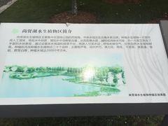 -尚贤河湿地